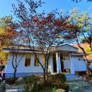 다온숲 암소한우 | [강원도 평창군] 평창 다온숲 펜션