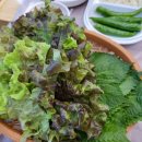 해신초장 이미지