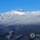 (주)만수