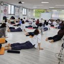 몸펴기 생활운동 | 🌿 2026년 하계 단기 집중수련 안내 - 몸펴기생활운동 연신내운동원