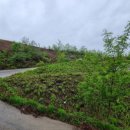 초월읍-9 이미지