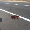 해원로-2 이미지