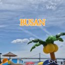 부산관광공사 부산시티투어 | 부산 시티투어버스 춘식이투어 혼자 부산 여행 코스 예약 후기