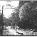 진산농장3 이미지