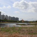 완산-74 Daum카페