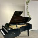 플랜에이 B홀 이미지