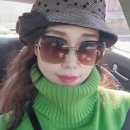 피누스스토어글로벌 이미지