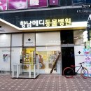 향남메디동물병원 이미지