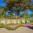 고목나무집 이미지