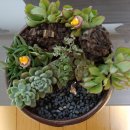 주월1동 행정복지센터 이미지