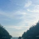 킹라온스파 이미지