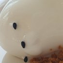 강릉 아이랑 내돈내산 맛집 강릉꼬막집독도네 그옛날초당순두부 갈매기다방