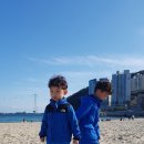 송도해수욕장 이미지