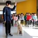 우리강아지 이미지