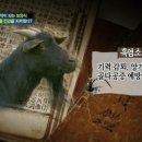 산내들흑염소 이미지