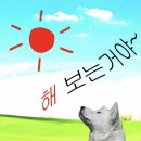 (유)시원건설 - 14334 | 조금 힘들고 꽤 좋았던 관악산 등산 후기 낋여왔습니다