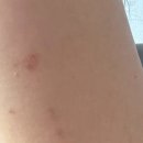 벨다드의원 이미지