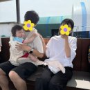김포 연보람 목장 13개월 아기랑 다녀온 후기🐄