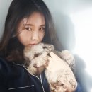 러브댕 네이버블로그