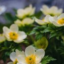 그대가세탁소 이미지