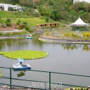 투어 팜(TOUR FARM)
