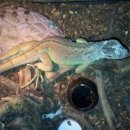 비손유치원 이미지