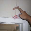 꿈의궁전 이미지