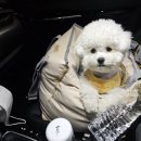 P-5722 | [2023-12월 훗카이도✈️] 토야호수 윈저호텔 | 훗카이도 혼다 렌터카 | 산치토세 공항 | 삿포로 대한항공