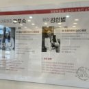 동물제중원금손이동물병원