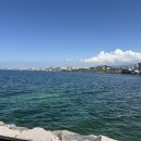 숙성도제주본점 이미지