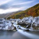 신성리생태공원 이미지