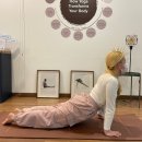 요가&필라테스Ⅰ 이미지