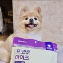 아이즈동물병원 이미지