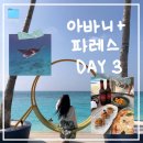 파레스장 | ✈️ 신혼여행 29 :: 몰디브 아바니 플러스 파레스 리조트 올인클루시브 3일차ㅣ만타 익스커션, 널스샤크...