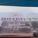 영동초등학교 이미지