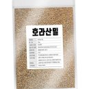 슈퍼밀
