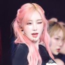 지젤헤어 네이버블로그