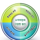 쑥쑥점핑