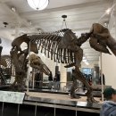 엑셀 /강좌번호 3 | [공지] 뉴욕 여행 일정 공유 엑셀 파일 지도부터 추천 동선 꿀팁까지 총정리