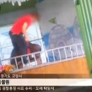 표범발
