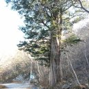 유명산하나슈퍼