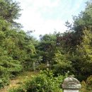 배흥립장군 묘소 이미지