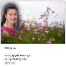 전해리