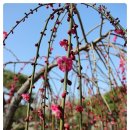 수양시장 이미지