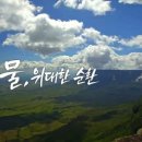 순환의 축복 이미지