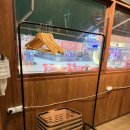 [안산 고잔동 술집] 분위기와 맛에 진심인 청년들의 요리주점, '반월가' 솔직 후기! (토마토짬뽕 파스타...