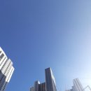 푸른다산주