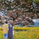 구례군청소년수련원 이미지