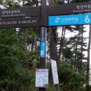 유다리길 이미지