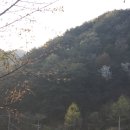 양지별밤 이미지